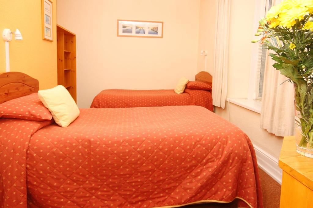Surfside Stop New Quay Rom bilde